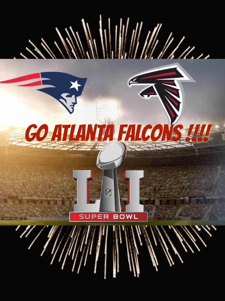 Go Atlanta falcons !!!!