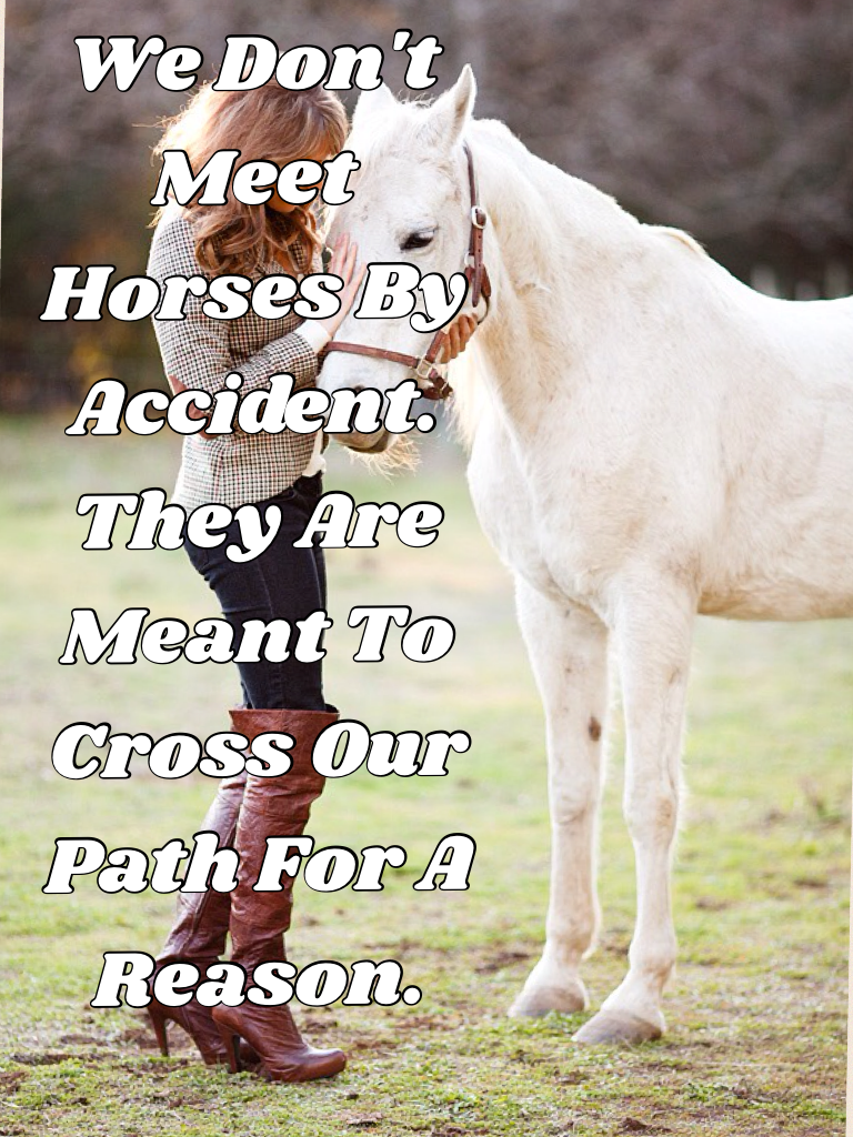 We Don't Meet Horses By Accident. They Are Meant To Cross Our Path For A Reason.
