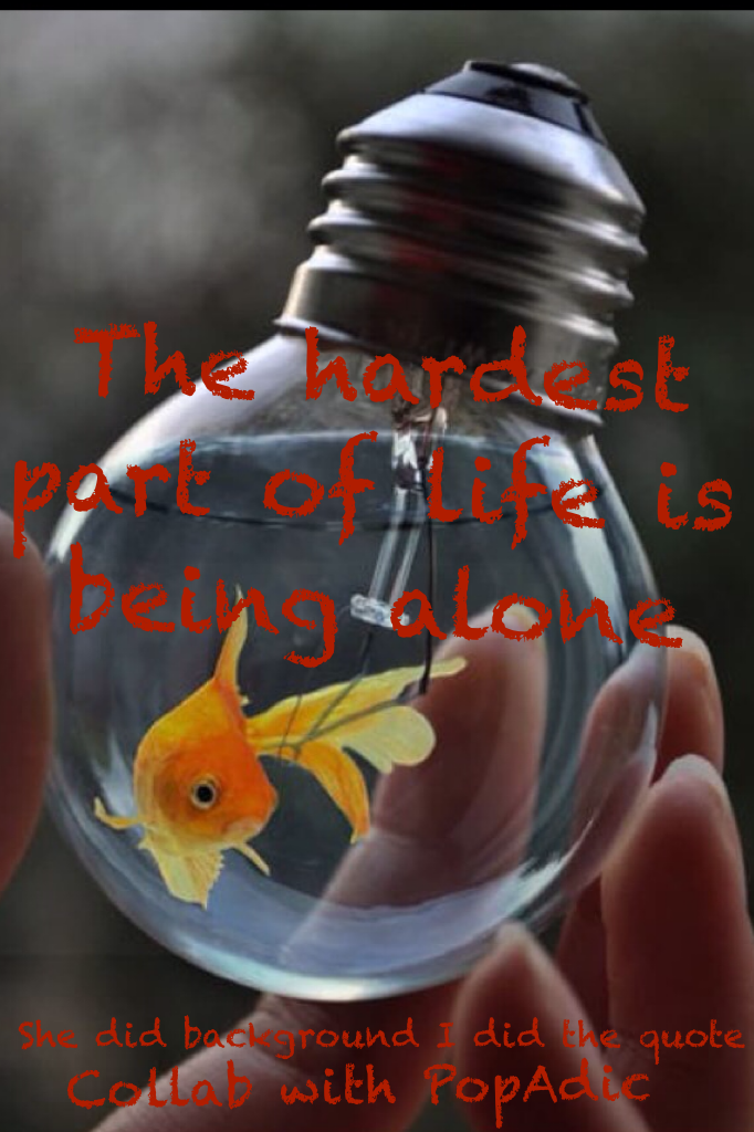 The hardest part of life is being alone