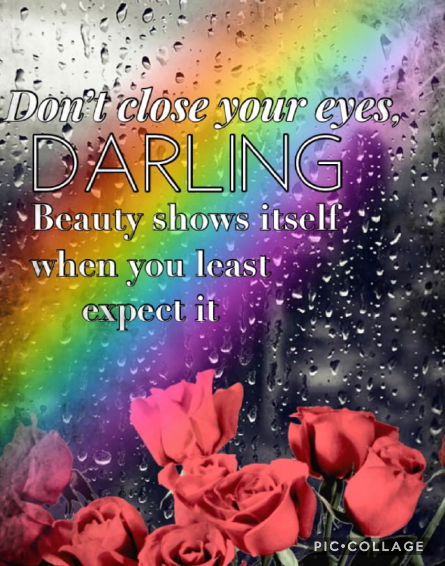 Don’t close your eyes, Darling.

——- 

Rainbows, spring, rain, roses, positivity 
