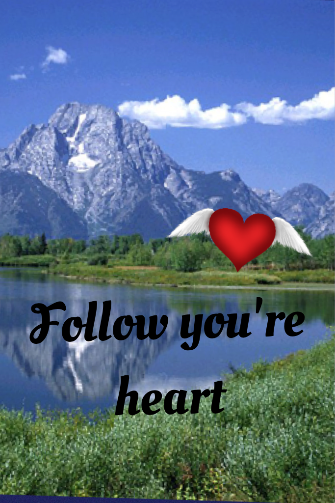 Follow you're heart