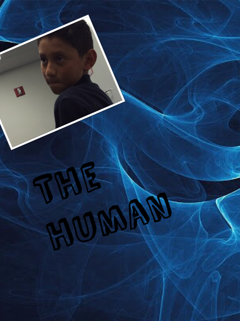 The human 
