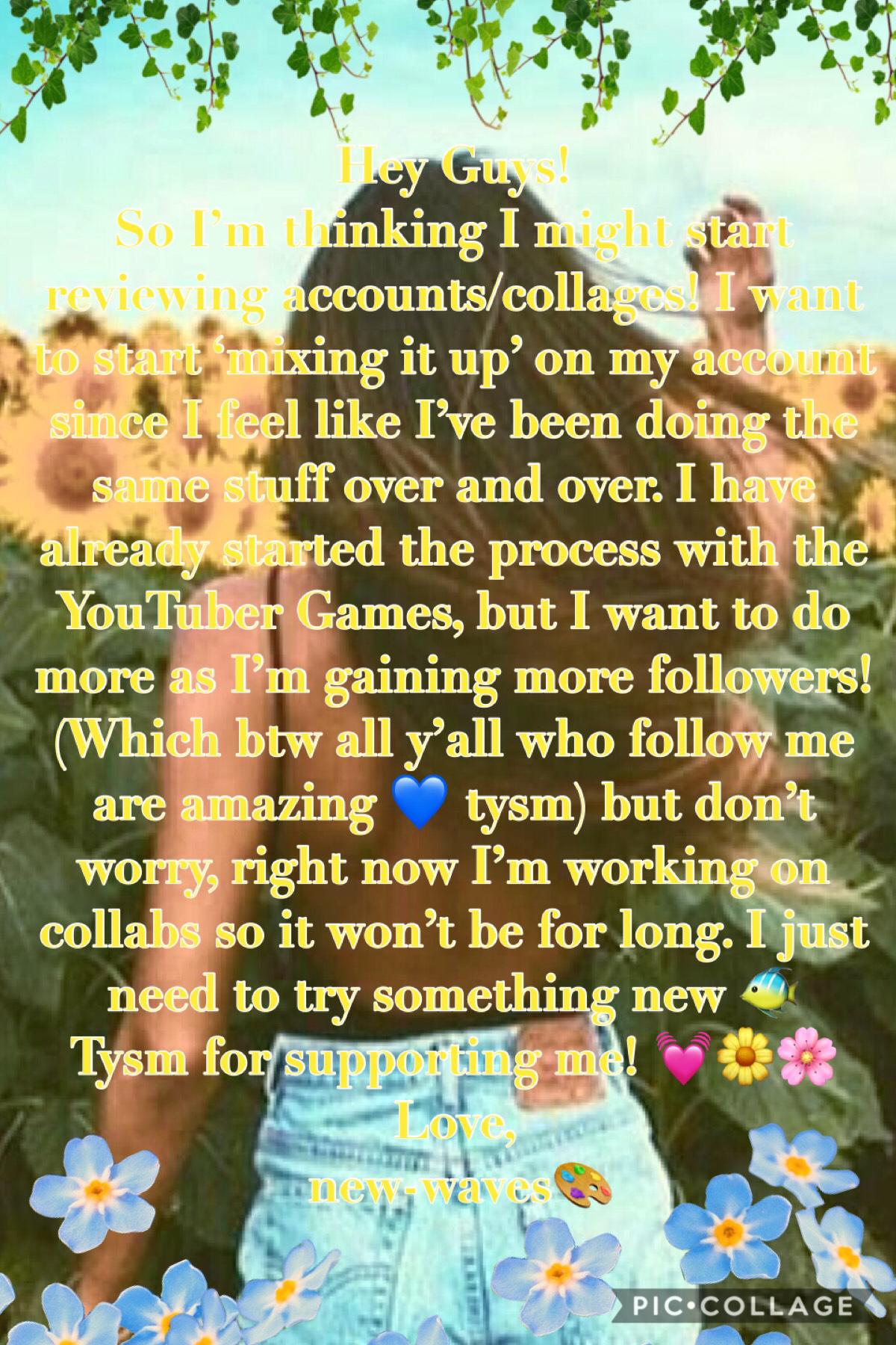 I’m starting to review Accounts/Collages! If you want me to review yours comment below!💙💙🎨🐠 collabs to come!🌸🌼