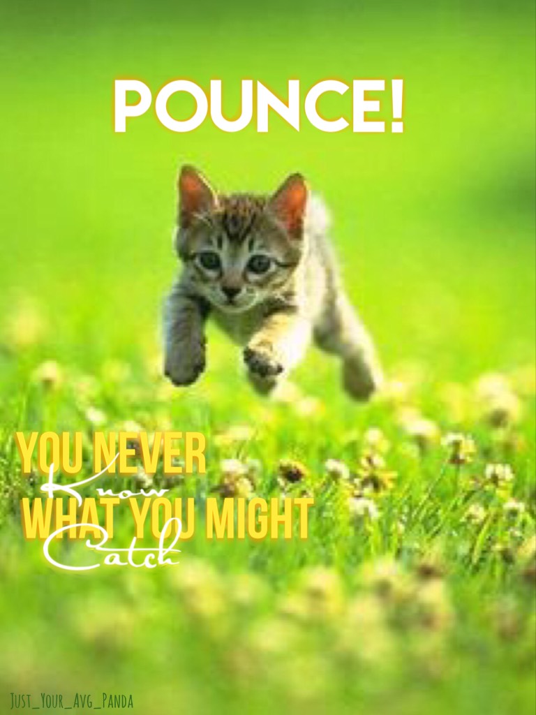 😹😹😹POUNCE!😹😹😹

I'm loving the spring theme I have going right now(currently at two edits🤣🤣🤣) but it's prob not gonna last long...thanks to my new fave collages whose name I can't seem to remember–YOU KNOW WHO YOU ARE😂😂😂– I know how to make my letters glow