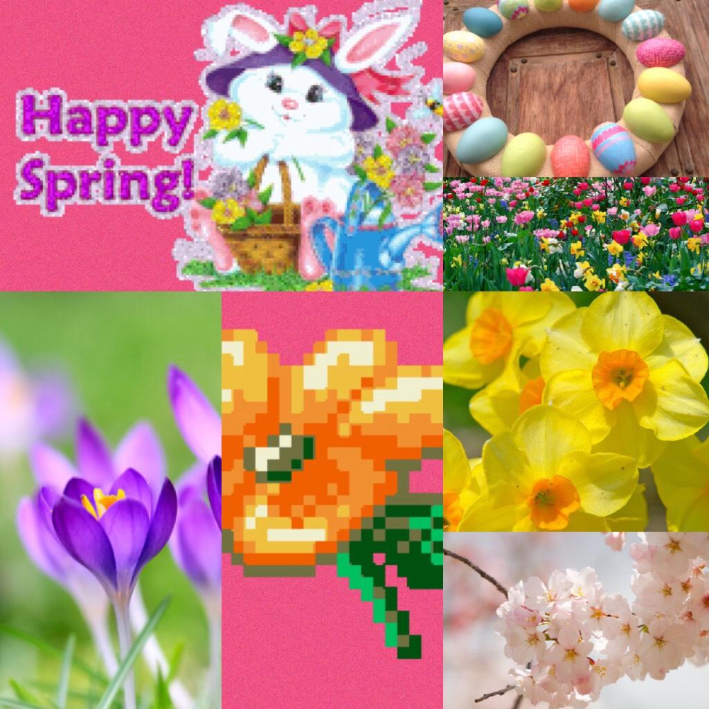 Happy Spring Everyone!
