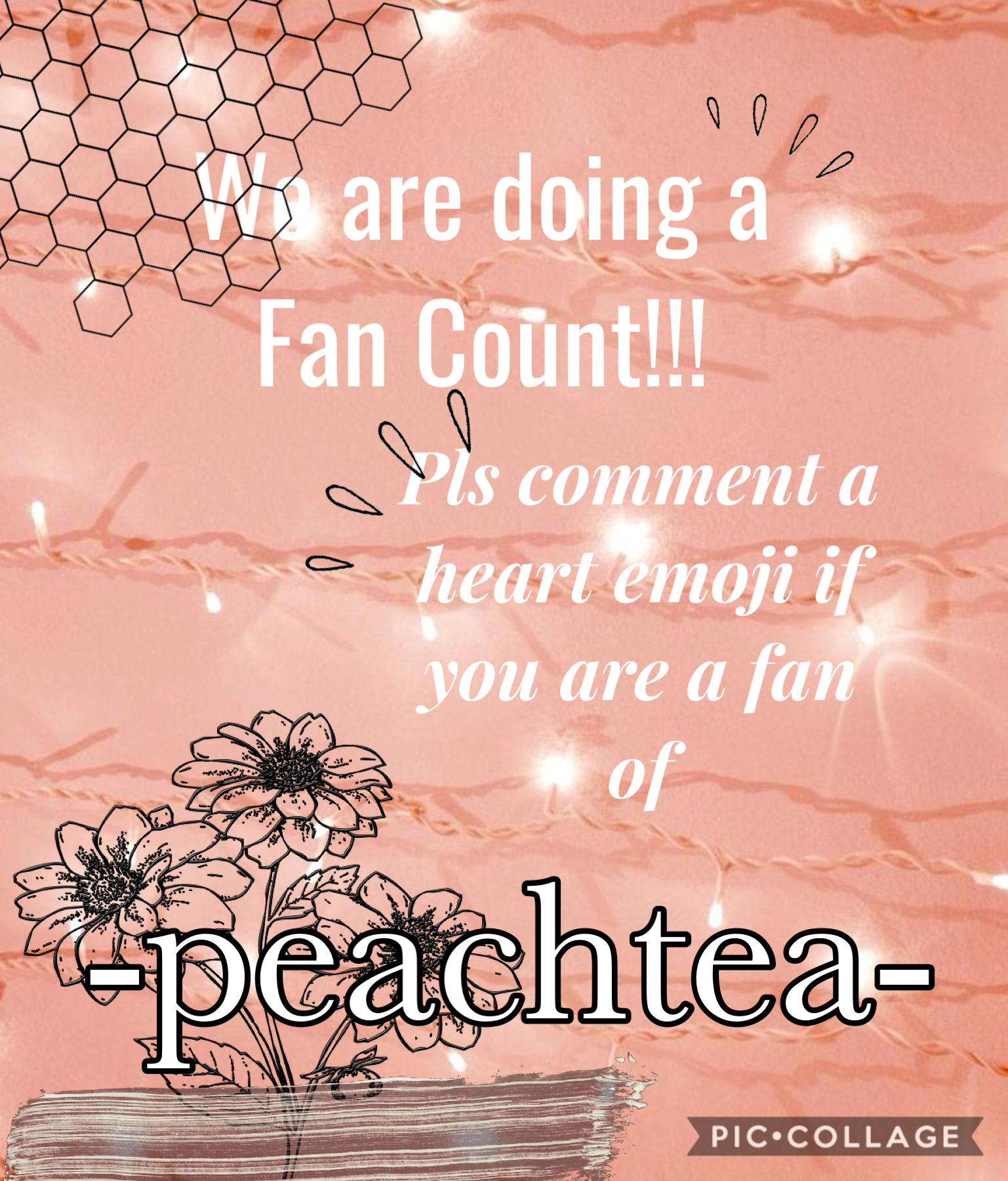 -TAPP-
I hope you all will comment, because -peachtea- is so amazing and kind, that she deserves to get so many more followers and likes!!!! Go check her acc out!!!❤️