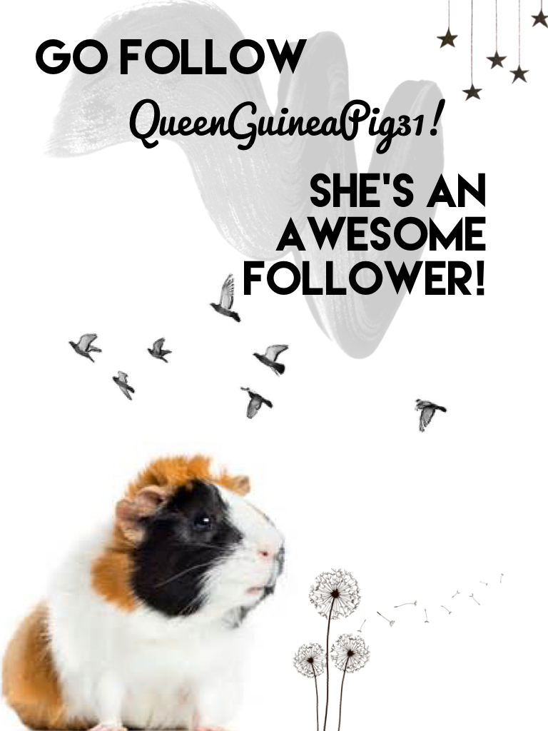 Go follow her! ☺️