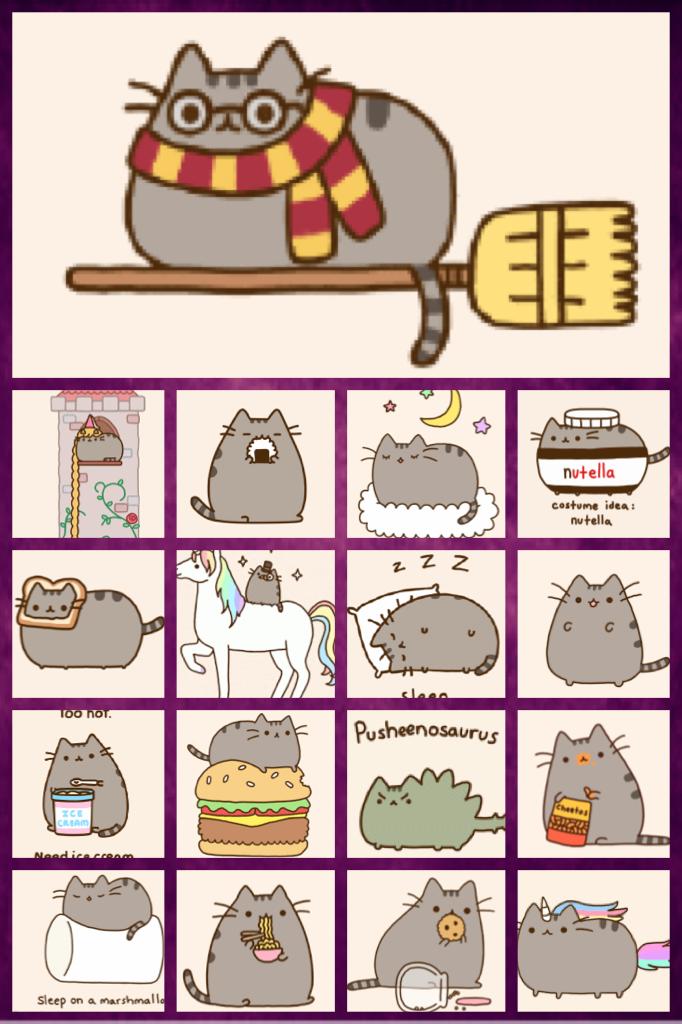It's the pusheen army!!😋