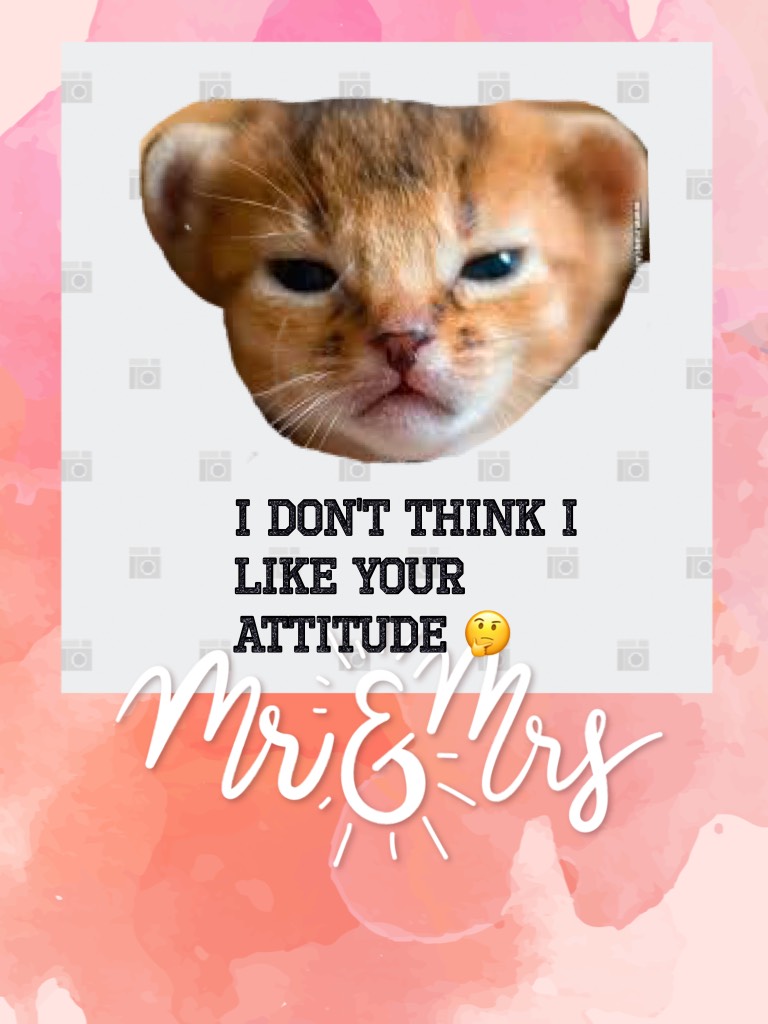 I don't think I like your attitude 🤔