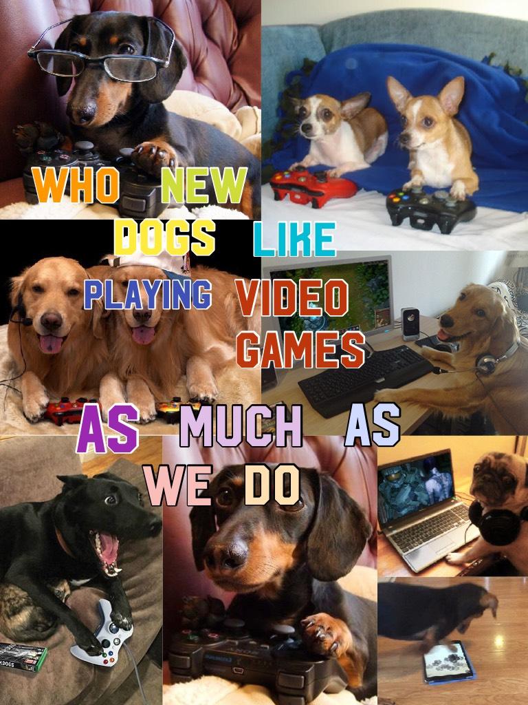 Who new dogs like playing video games as much as we do