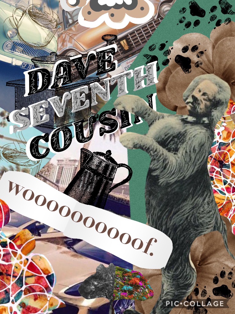 Collage by DAVE-THE-DOG