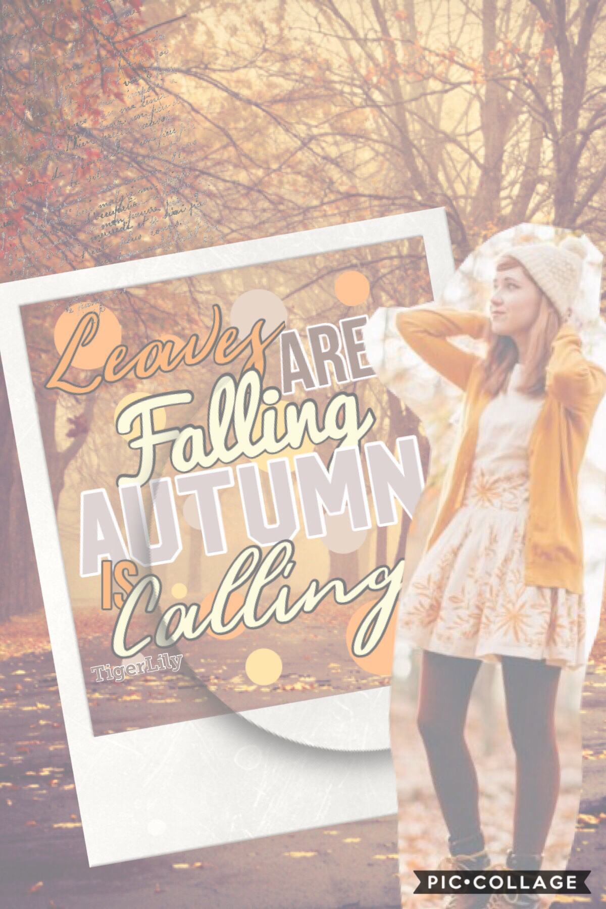 🍂TAP🍂
So I know I just posted a collage yesterday... but I just finished this AND I LOVE IT. What do y’all think about it? I have another question. What is your favorite season? My favorite season is fall! I love it and I’m so excited it’s here 😁