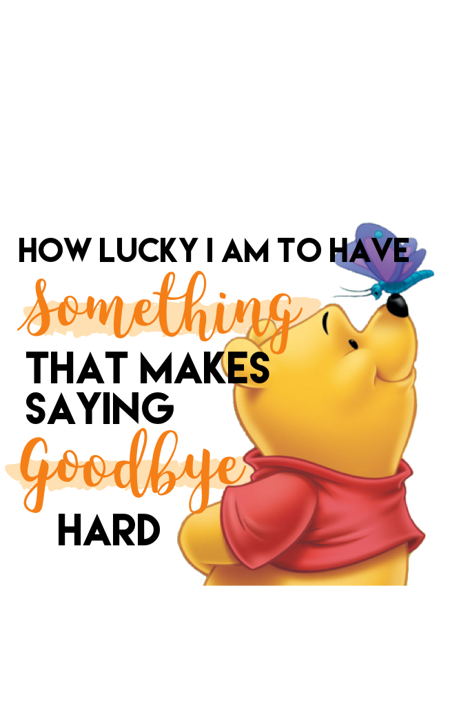- Winnie the Pooh -