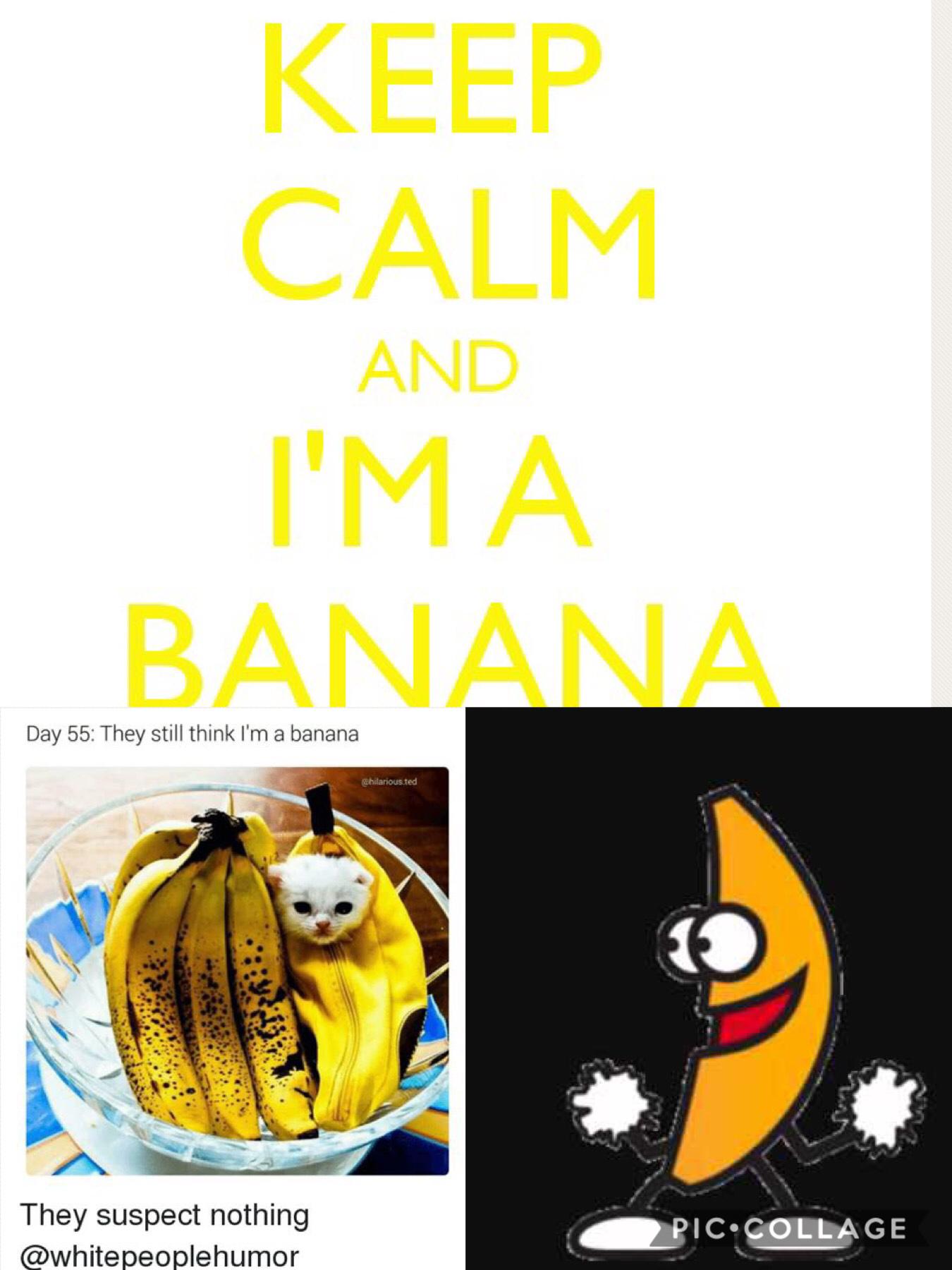 I’m a banana!!!!🍌🍌🍌🍌