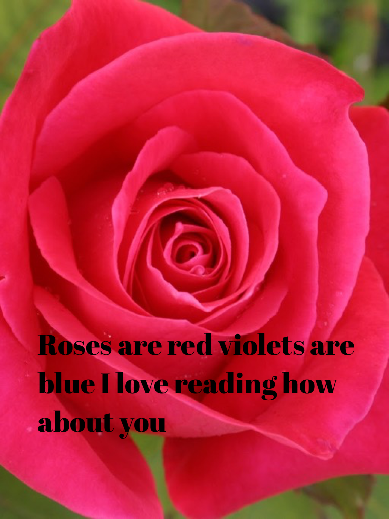 Roses are red violets are blue I love reading how about you