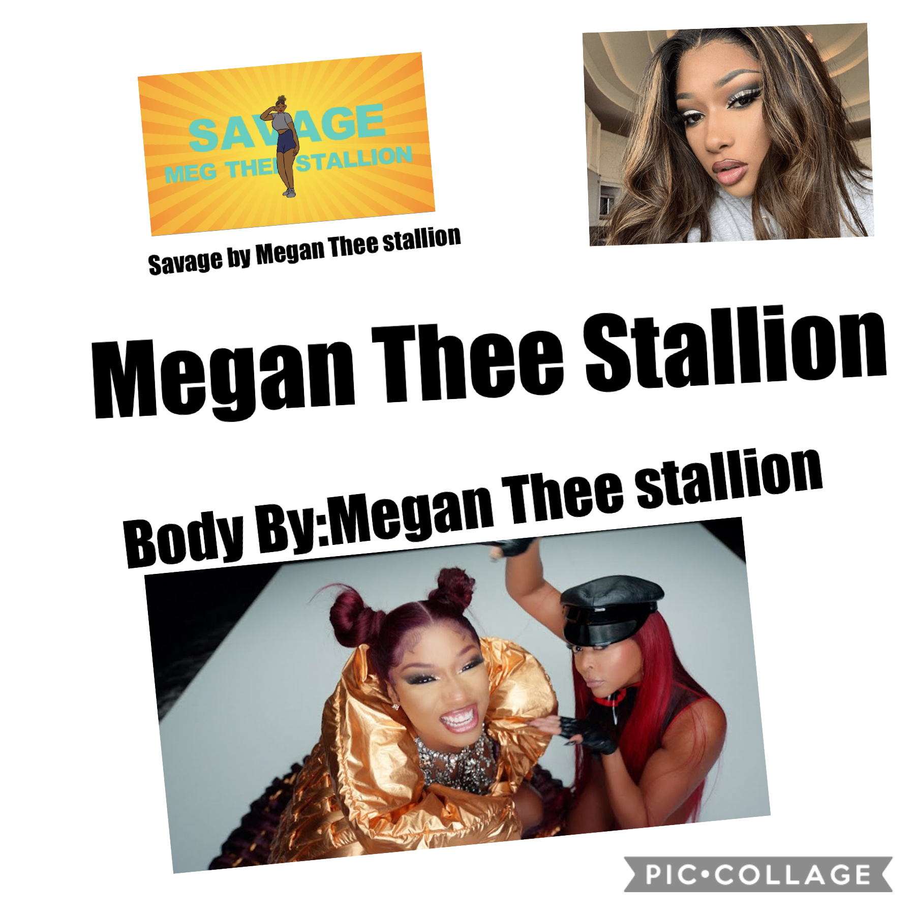 Megan Thee stallion 