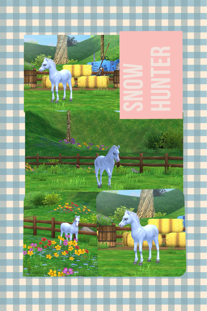 My first foal from the star stable app !
