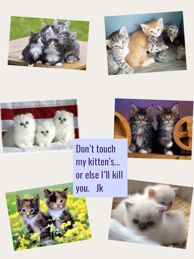 Don’t touch my kitten’s...
or else I’ll kill you.   Jk