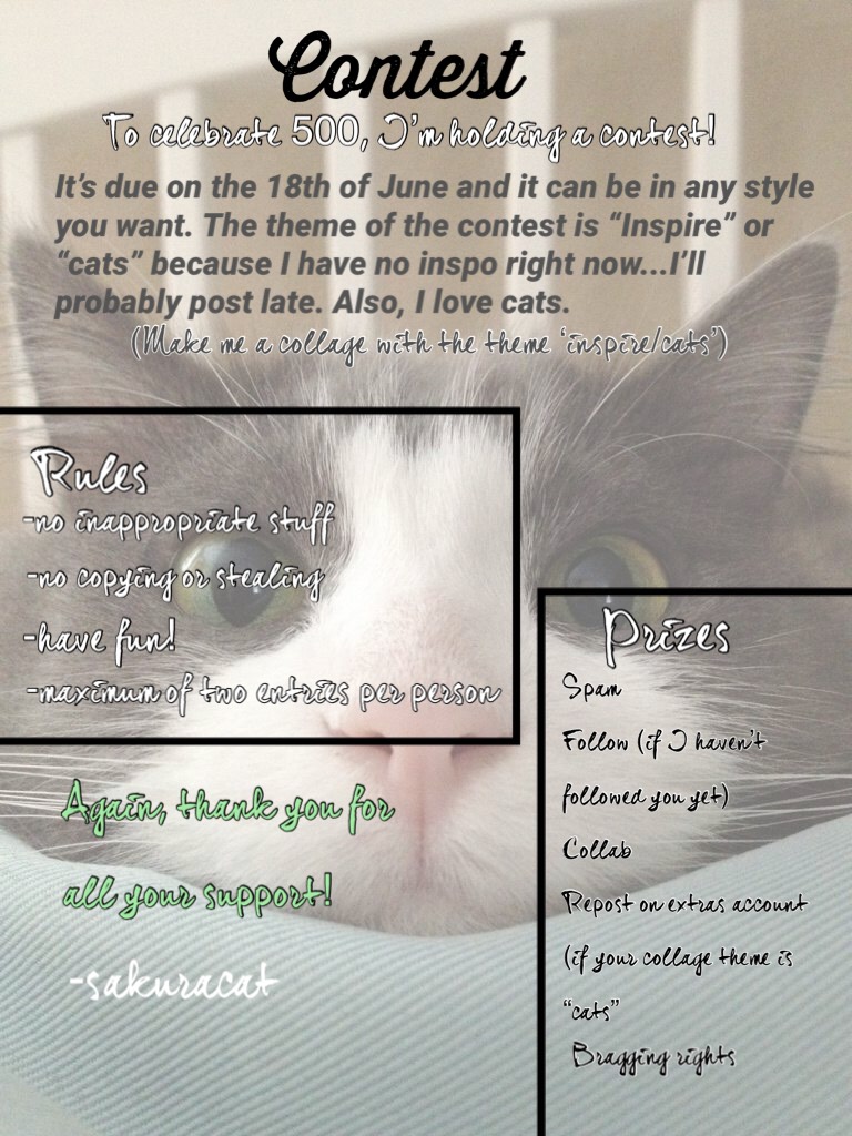 Contest-partly to celebrate 500, and partly to get back my inspo. Please join! It’s due on the 18th of June. @rhapsodie, I hope you grandfather gets better soon! Also, I’ll probably post late-inspo block...sorry😅