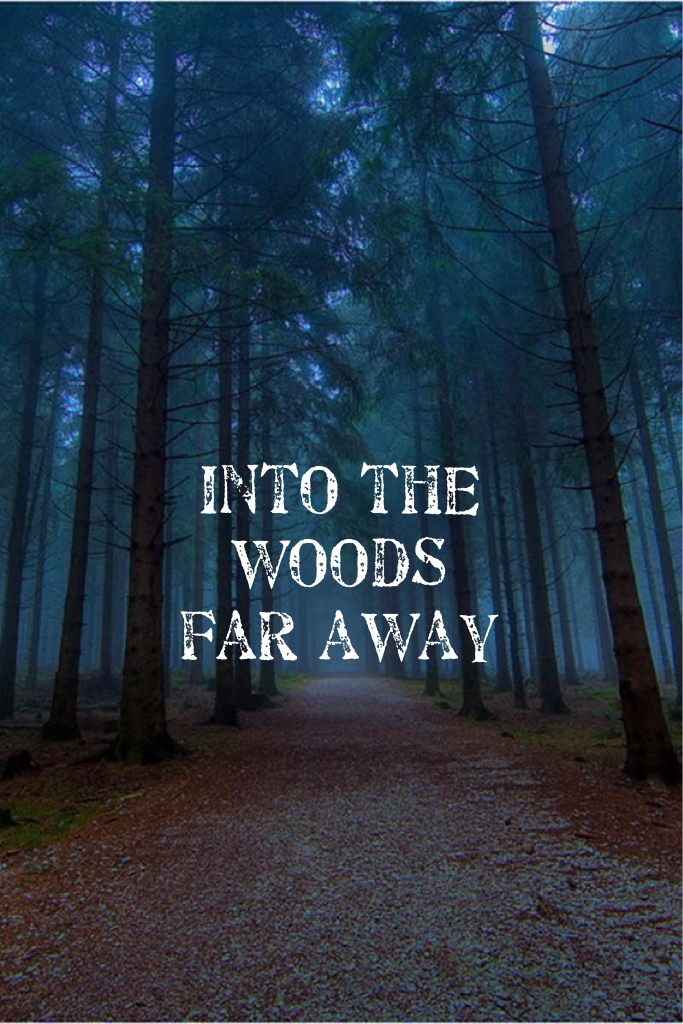 into the woods far away 