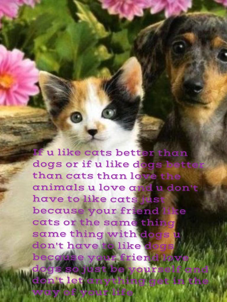 If u like cats better than dogs or if u like dogs better than cats than love the animals u love and u don't have to like cats just because your friend like cats or the same thing same thing with dogs u don't have to like dogs because your friend love dogs