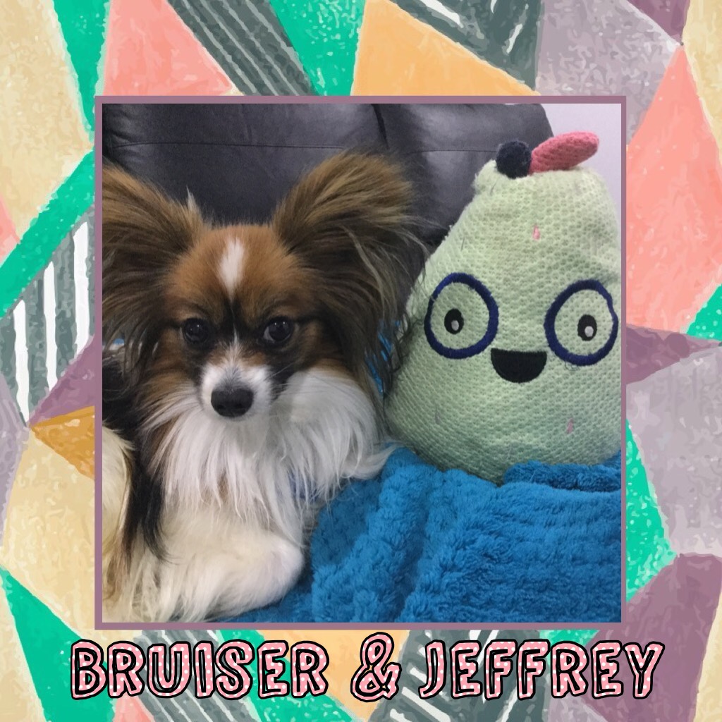 Bruiser & jeffrey