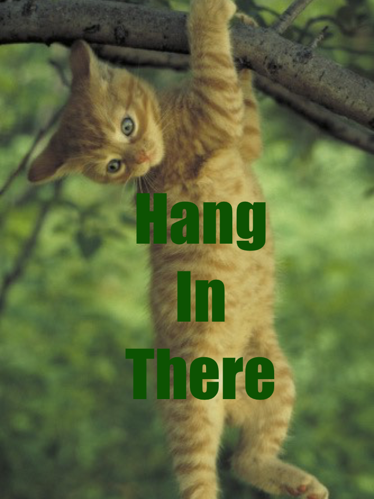 Hang 
In
There