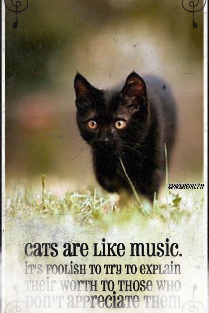 I love animals and music! This is a good combo!