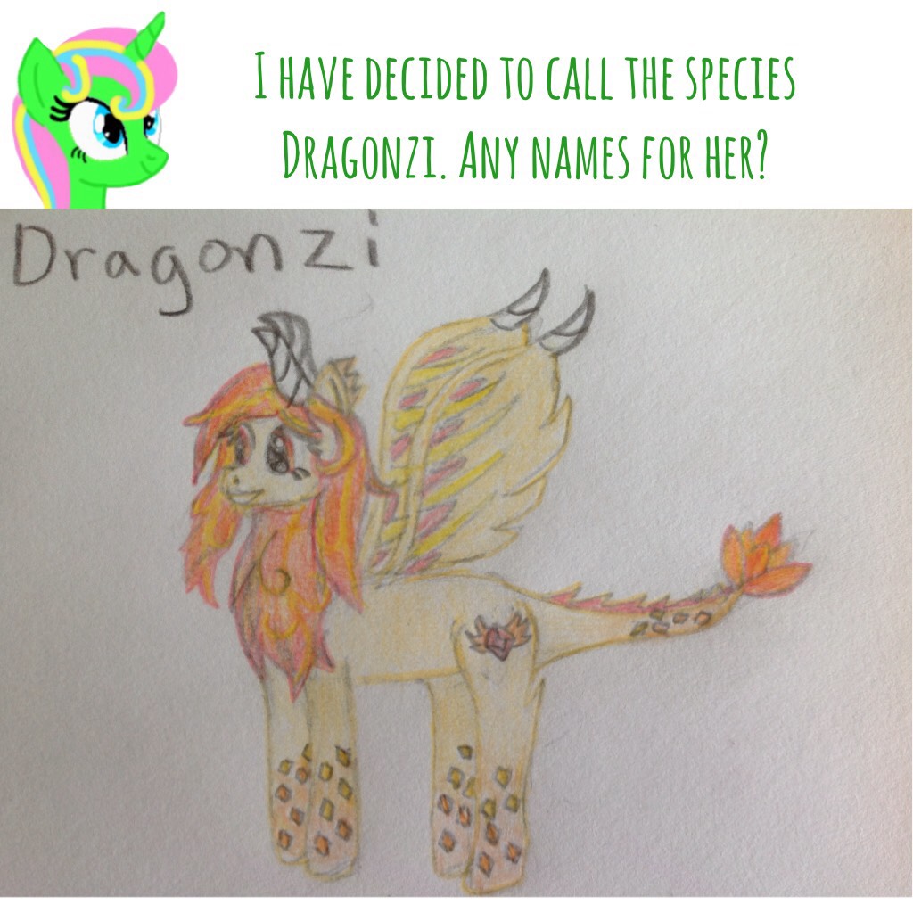 I did create this species my friend actually asked me to draw a dragon, but I couldn't so I decided to draw a dragon/pony hybrid. The traits are different than normal dragon/pony hybrids.