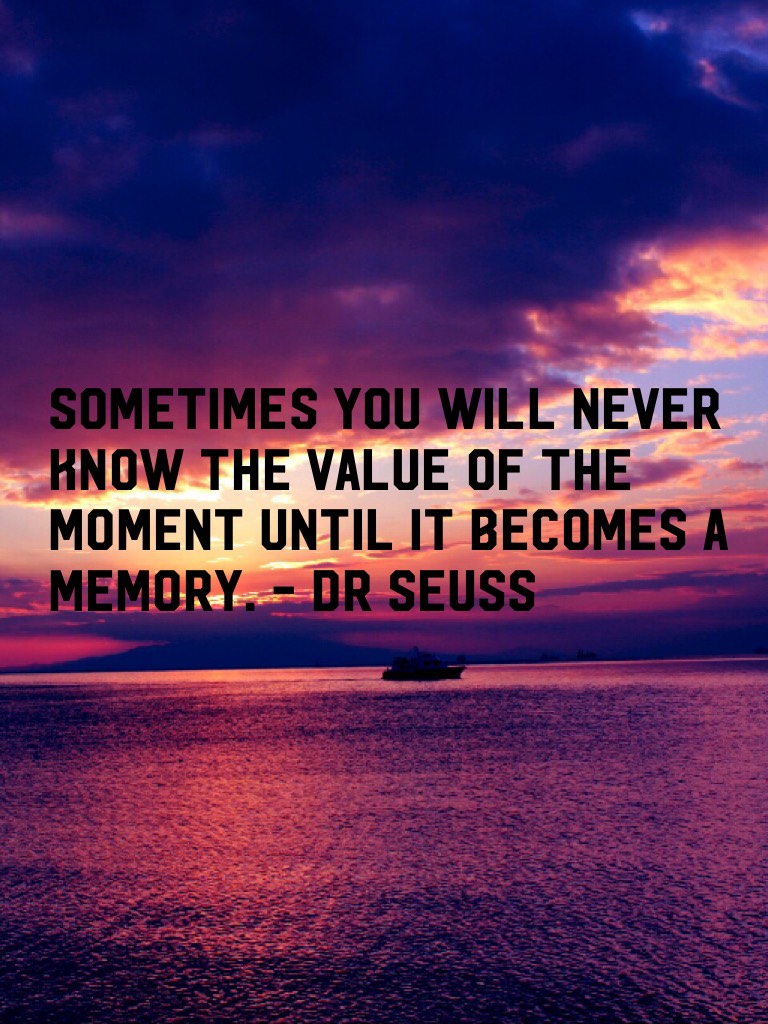 sometimes you will never know the value of the moment until it becomes a memory. - Dr seuss