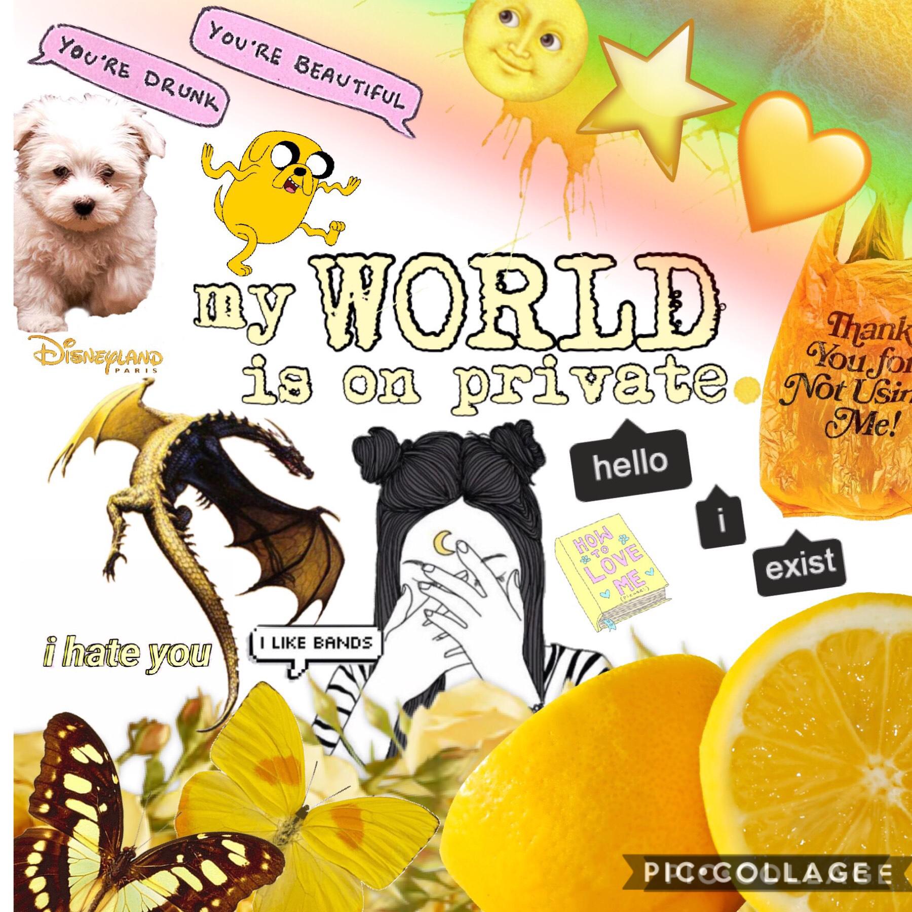 🌻 💛 🐥🌞
This is the collage I was unable to upload. :) I worked it out, and simply screenshotted it and overlaid it. :) read the comment section!