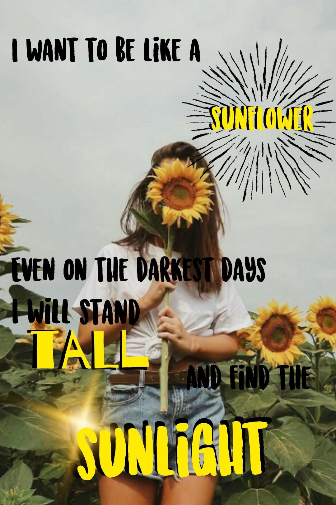 🌻Tap🌻
I hope y'all like this collage! Stand tall like a sunflower would!