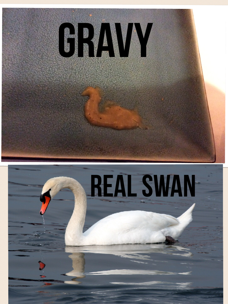 Gravy v.s the real thing