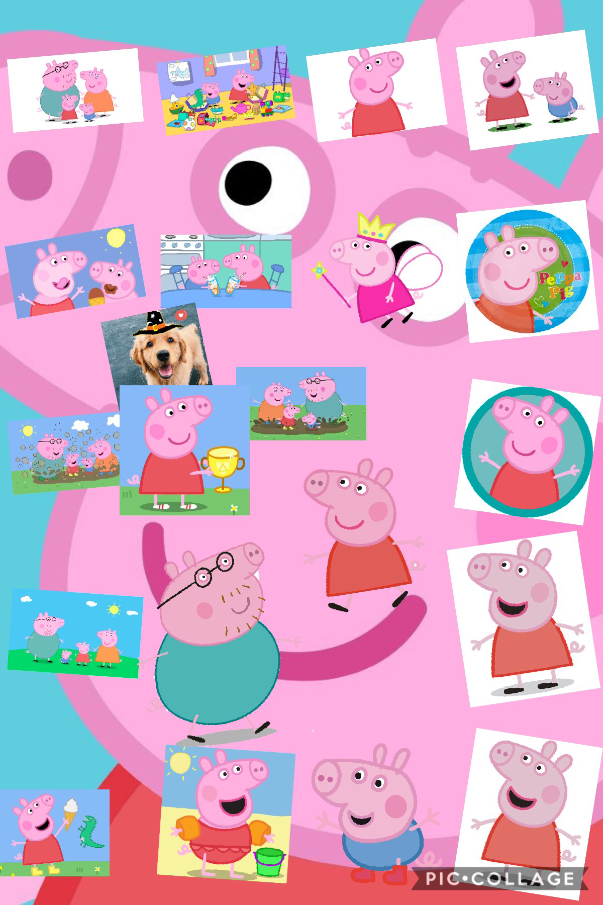 If you can find the one pic that’s different from peppa u will follow you and like all of your posts 
(Only first 5 people) day what it is in comments or a different post or do a remix and circle it  