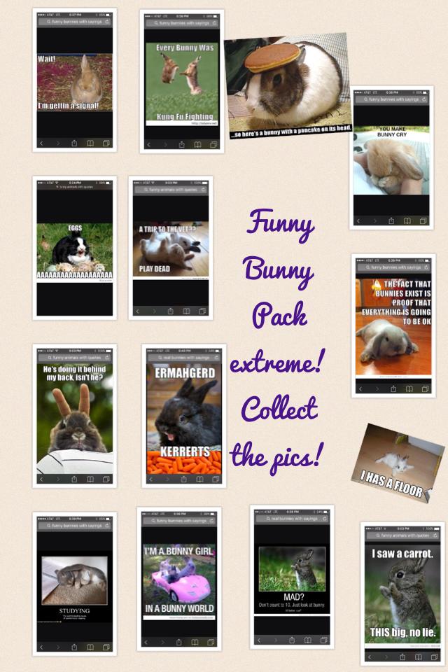 Funny
Bunny
Pack extreme!
Collect the pics!