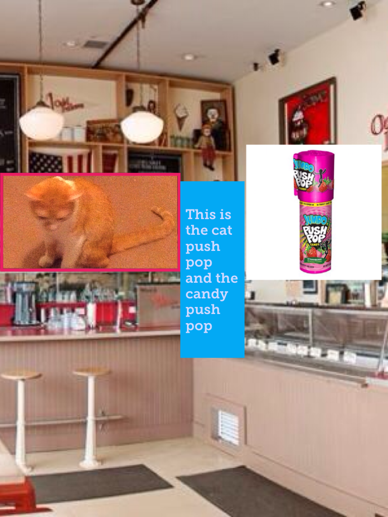 This is the cat push pop and the candy push pop  love them for life