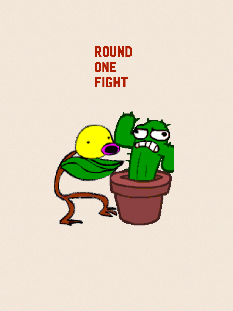 ROUND ONE FIGHT