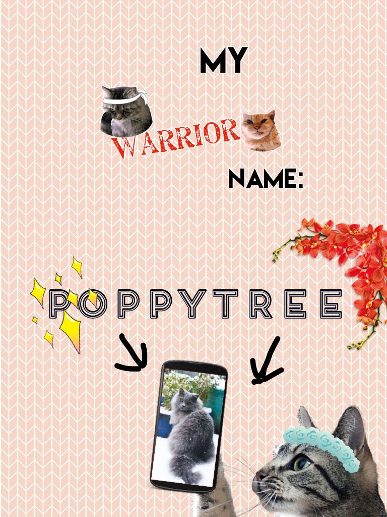 Poppytree: warrior of leafclan!