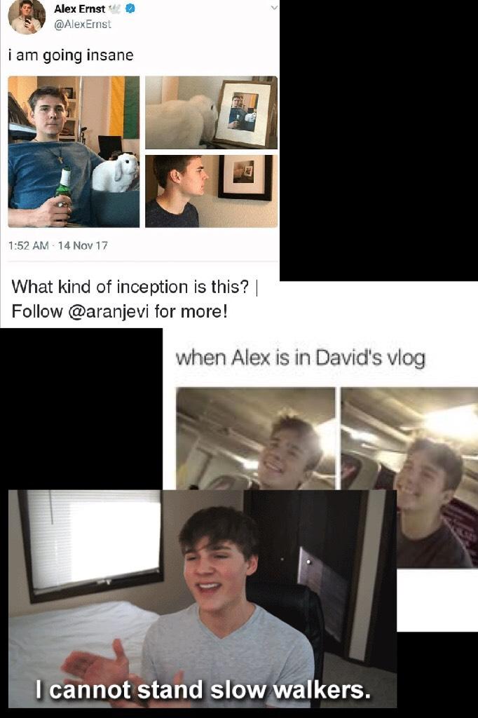 Does anyone like the vlog squaddd I love them sm and Alex and Scotty are my bois