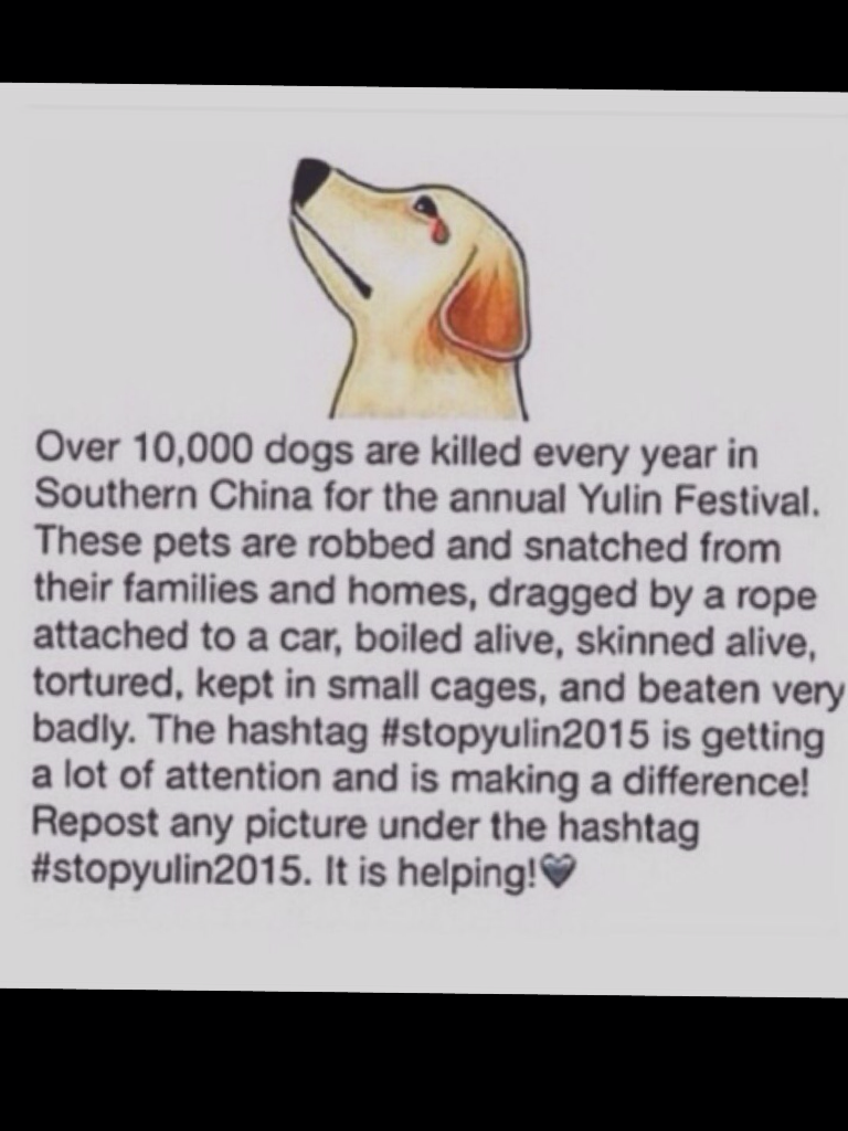 #stopyulin2015 Dogs are Friends not Food