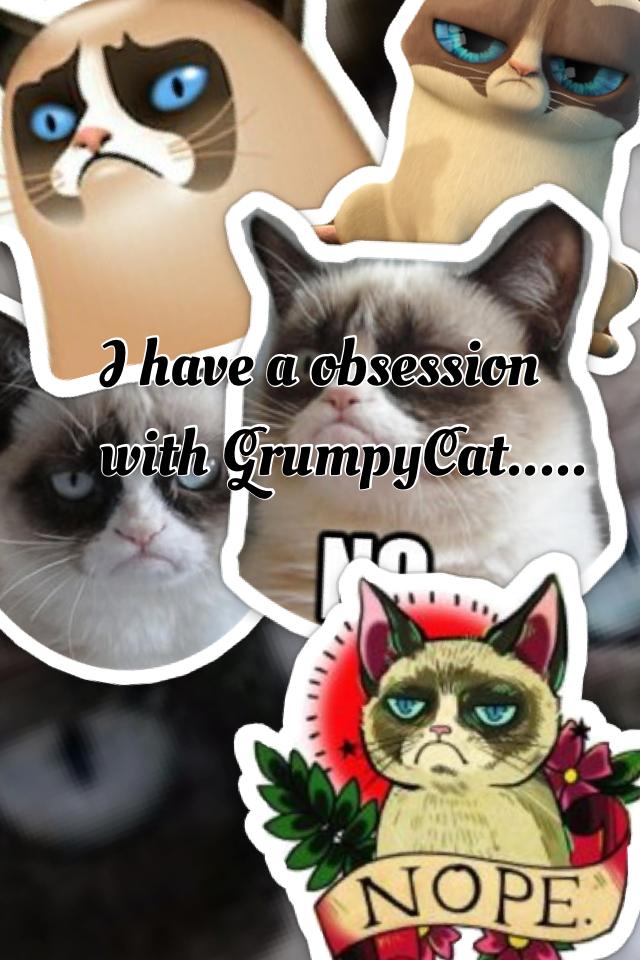 I have a obsession with GrumpyCat.....