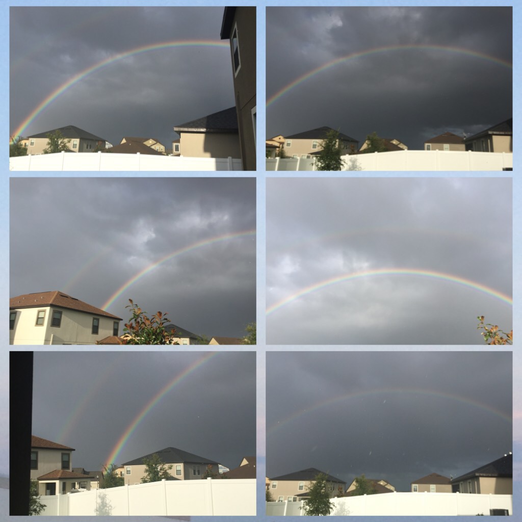 We had a double rainbow after Irma🌈🌈