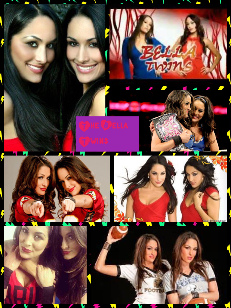 I like the Bella Twins and more