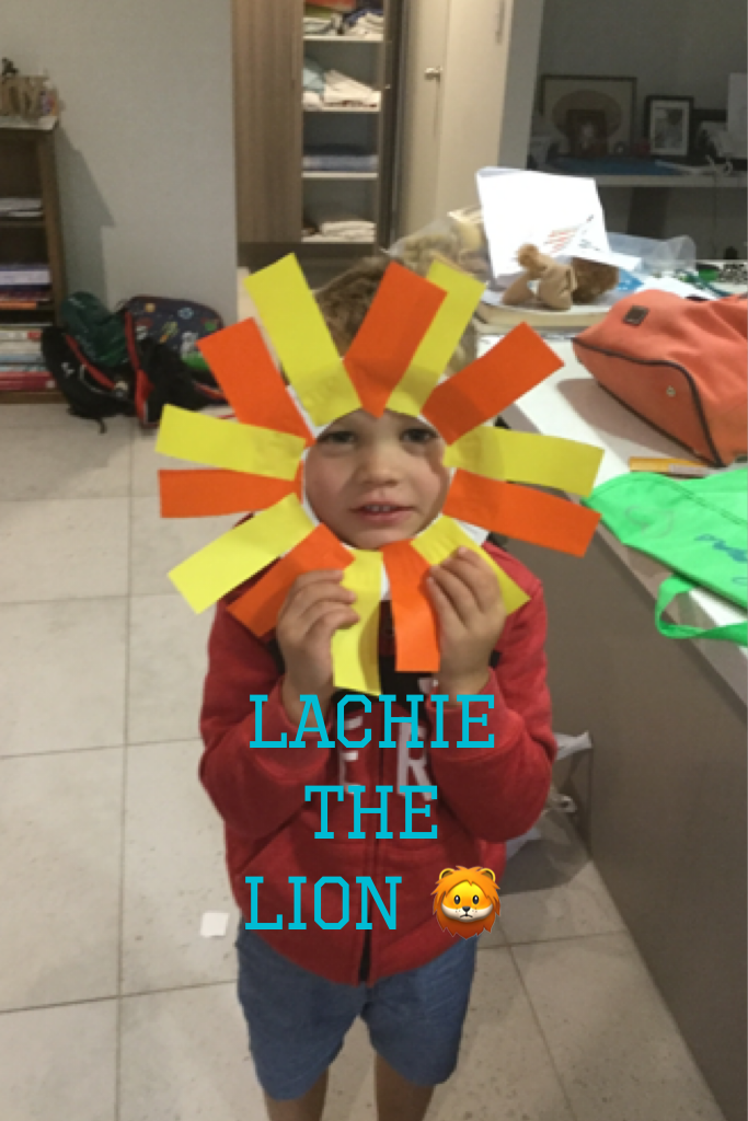 Lachie the lion 🦁 