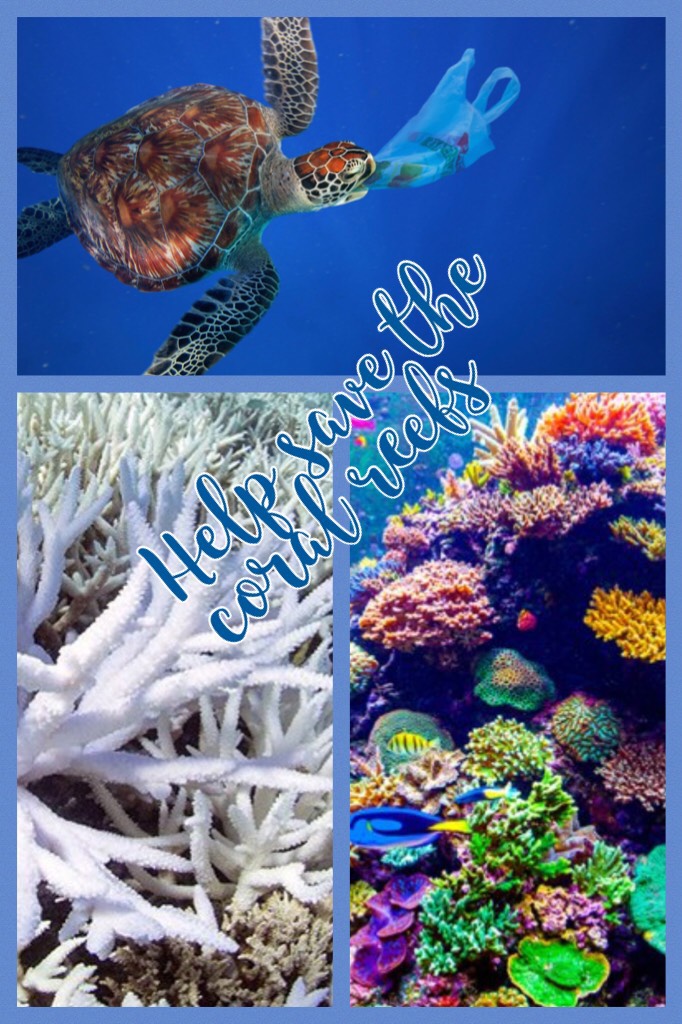 Help save the coral reefs