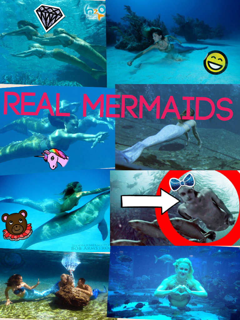 Real mermaids 