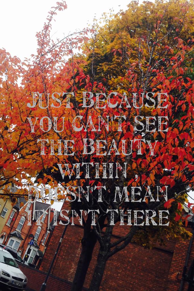 Just because you can't see the beauty within , doesn't mean it isn't there
