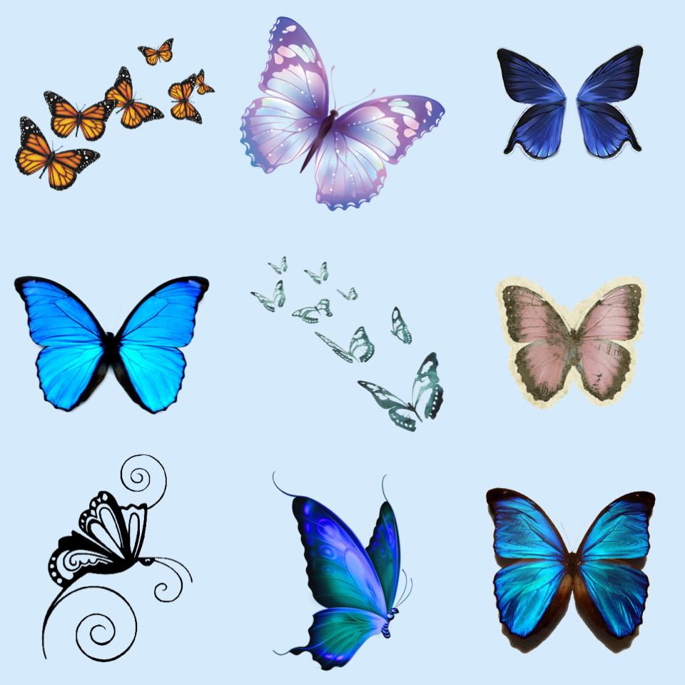 Butterfly pngs 🌺💦