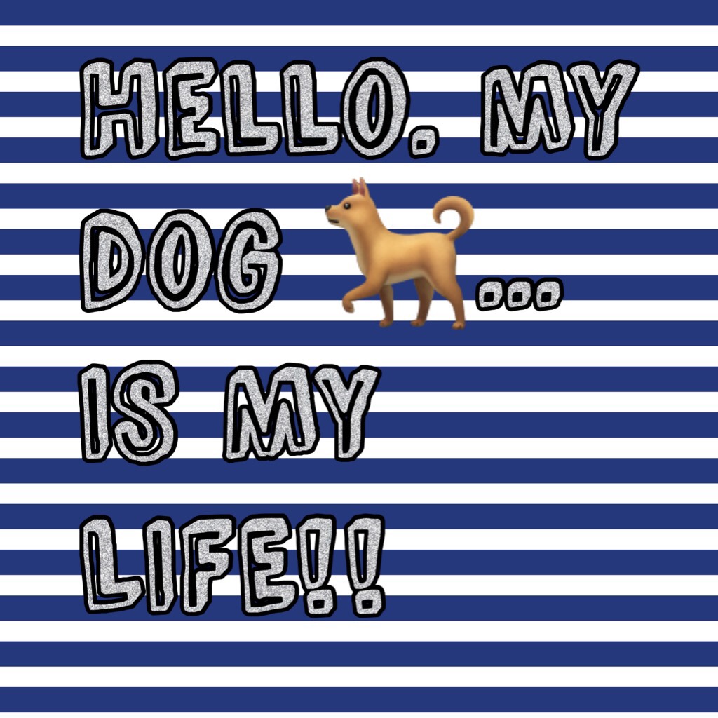 Hello my dog 🐕 is my LIFE!!