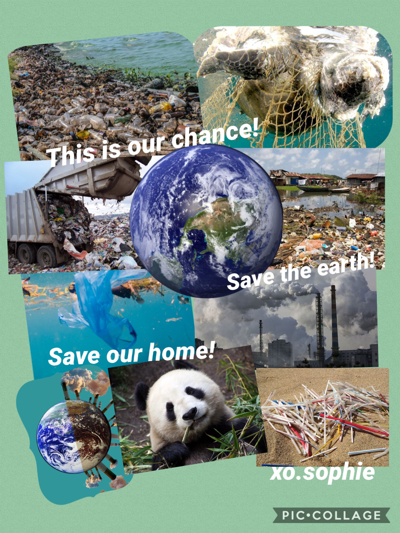 We need to step it up. TO SAVE THE WORLD! 🌏🌲🦔🐬🐢🐝🐼Please share this message.. before its to late.